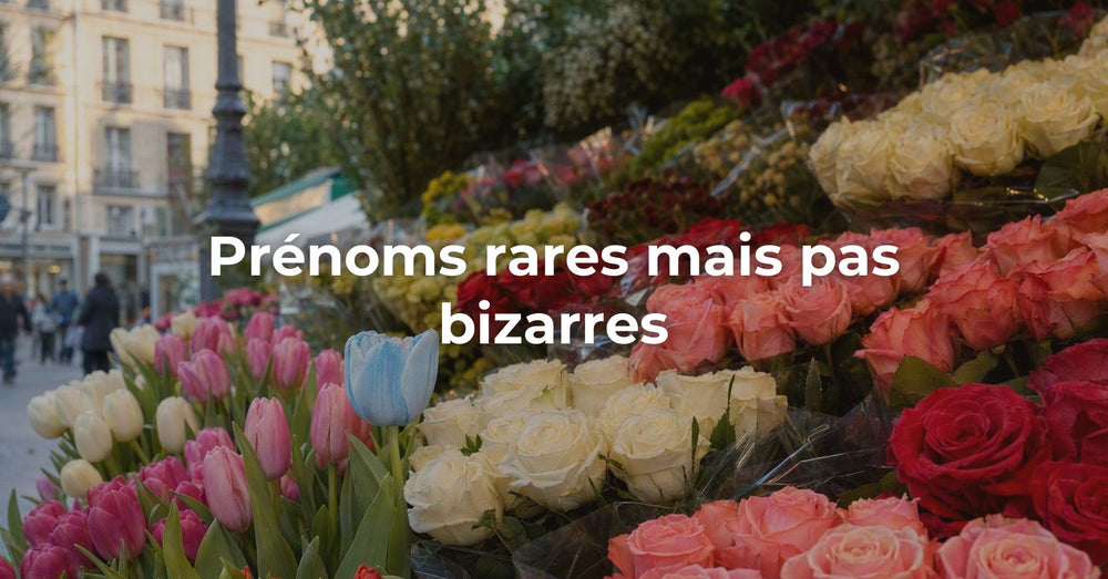 Prénoms rares mais pas bizarres : la zone 200–600
