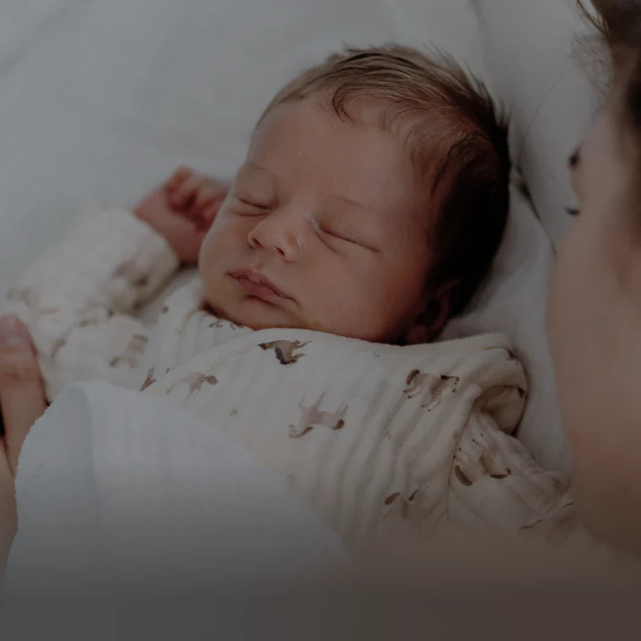 Translation missing: fr.accessibility.image_fallback