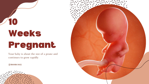 10 weeks pregnant