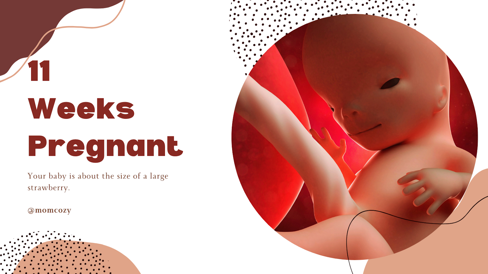 11 weeks pregnant