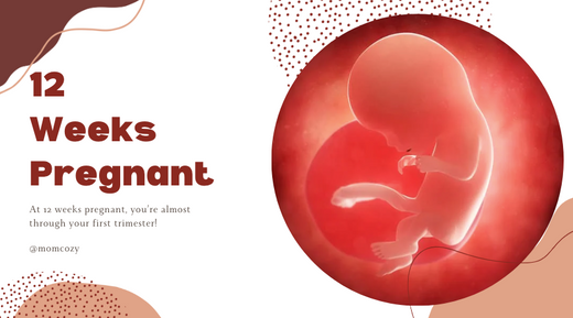 12 Weeks Pregnant - 12 weeks fetus