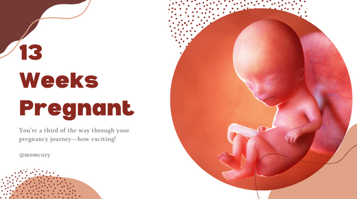13 Weeks Pregnant with 13 weeks fetus photo
