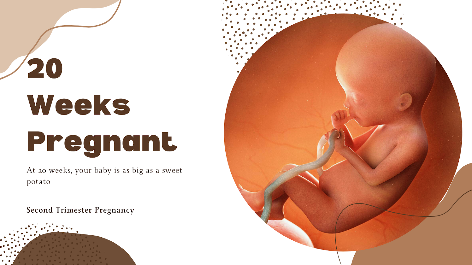 20 weeks pregnant