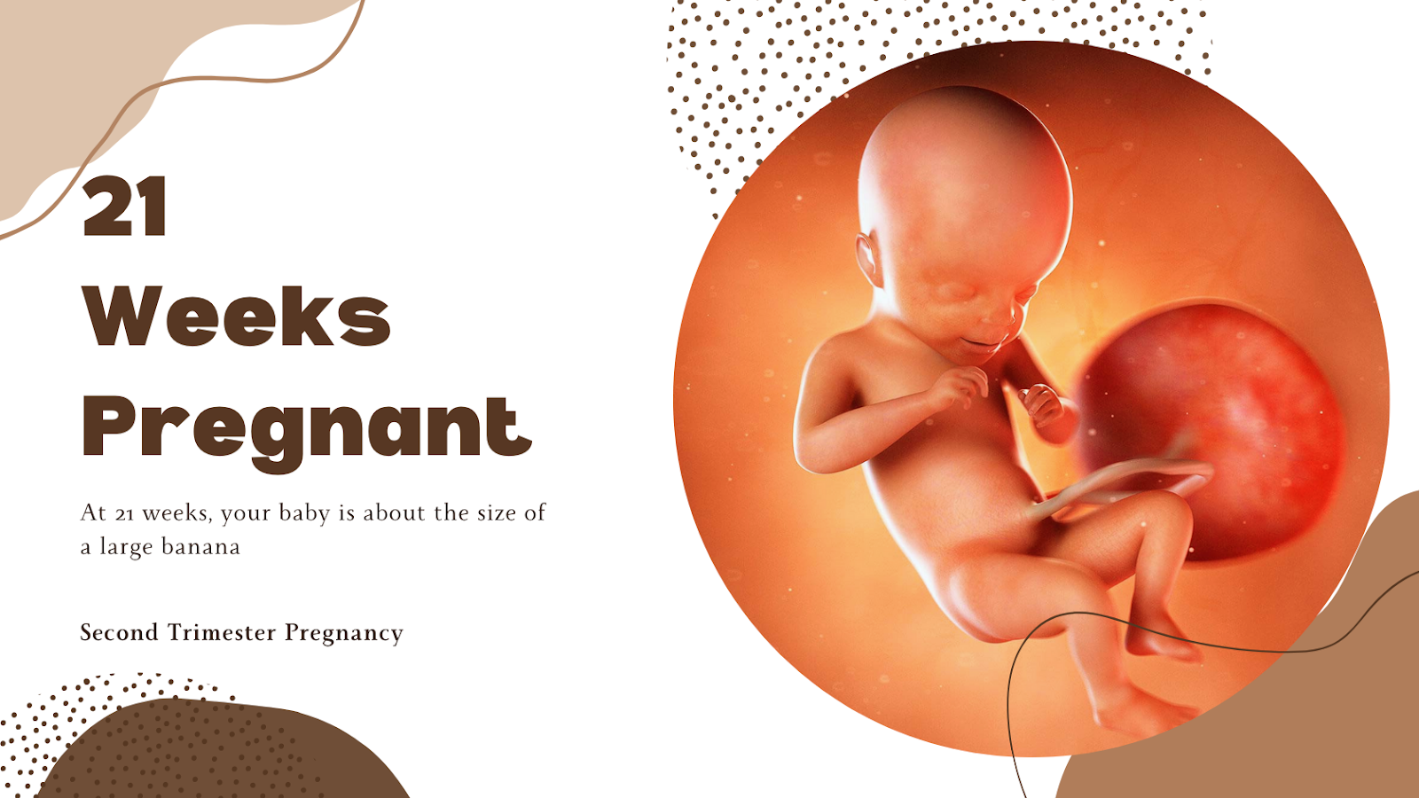 21 weeks pregnant