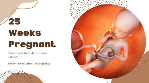 25 Weeks Pregnant: Photo of 25 weeks fetus
