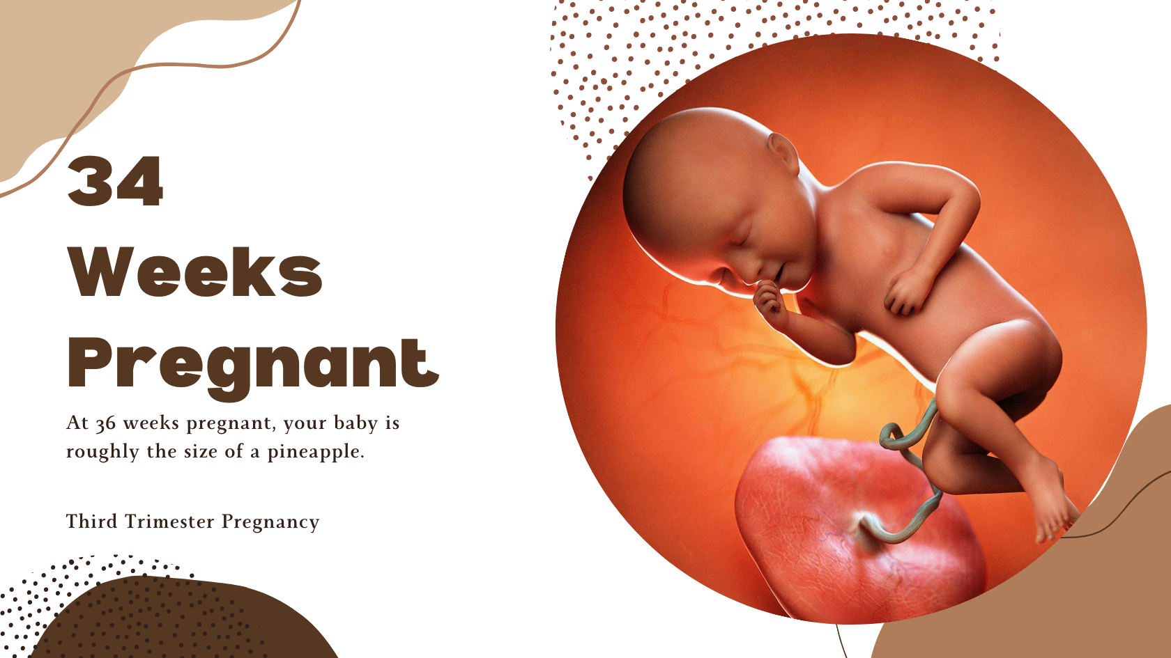 34 Weeks Pregnant: Weekly Development & Symptoms and 34 weeks fetus