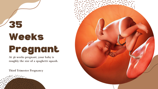35 Weeks Pregnant (photo of 35 weeks fetus)