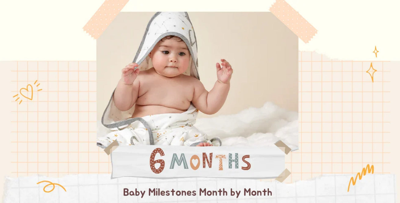 6 Month Old Baby Milestones and Development