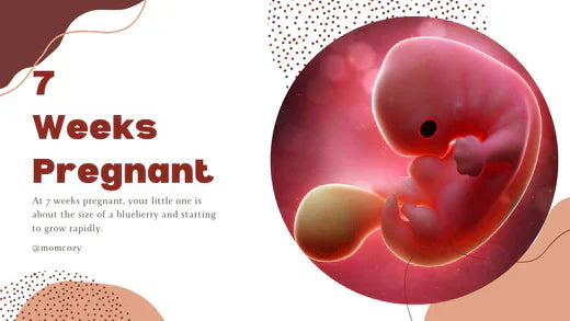 7 Semaines de Grossesse: À Quoi S'attendre?