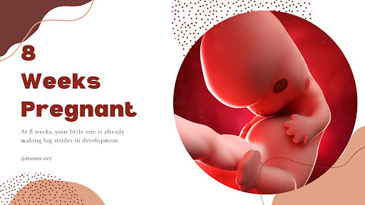 8 weeks pregnant