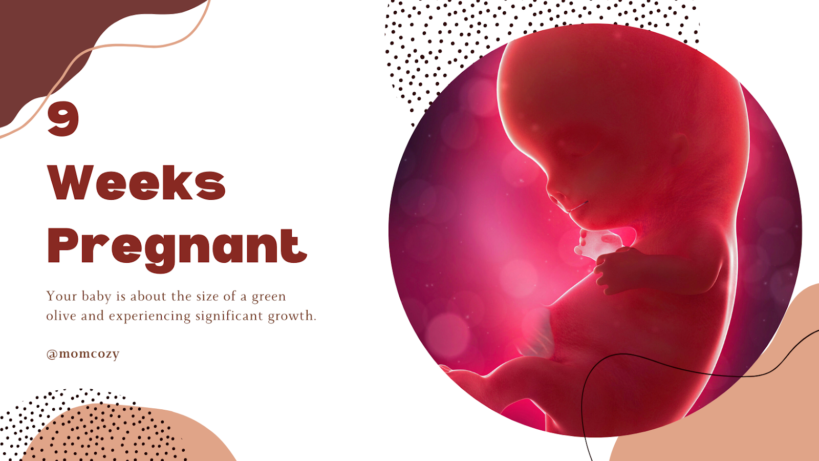 9 weeks pregnant