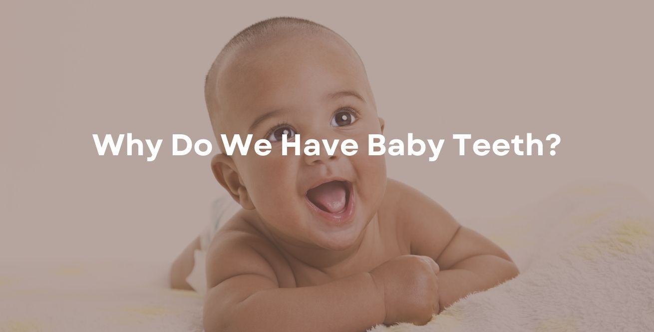 Why Do We Have Baby Teeth?