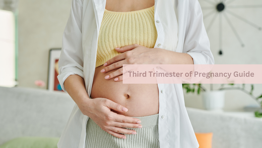 Guide Third Trimester Pregnancy