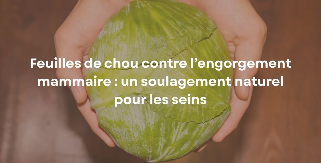 Feuilles de chou contre l’engorgement mammaire : un soulagement naturel pour les seins