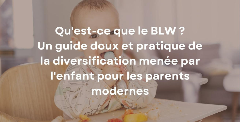 Qu'est-ce que le BLW ? Un guide doux et pratique de la diversification menée par l'enfant pour les parents modernes