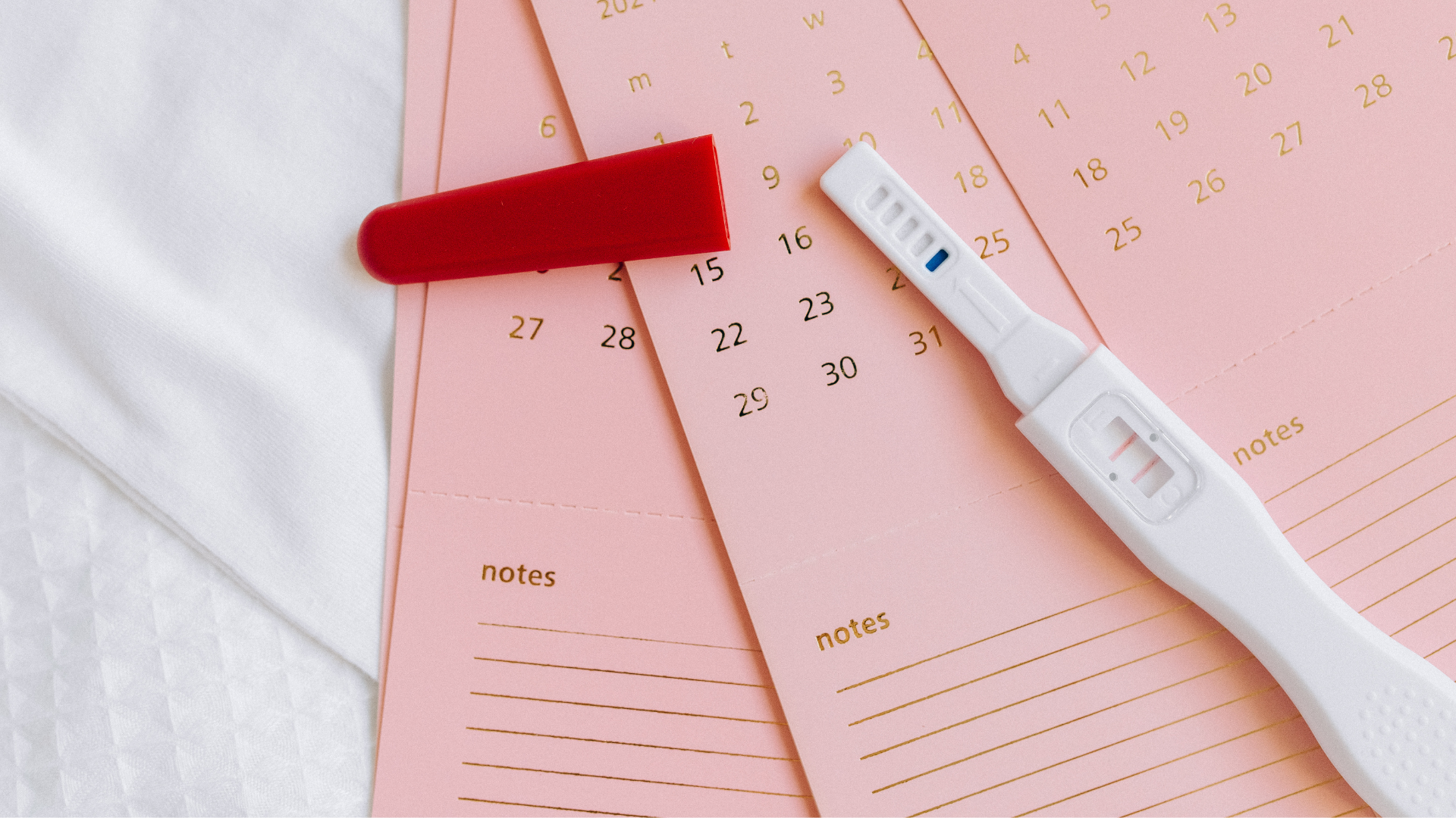 Your Guide To First Trimester Pregnancy