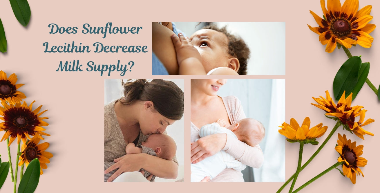 "Does Sunflower Lecithin Decrease Milk Supply?" with images of breastfeeding and sunflowers