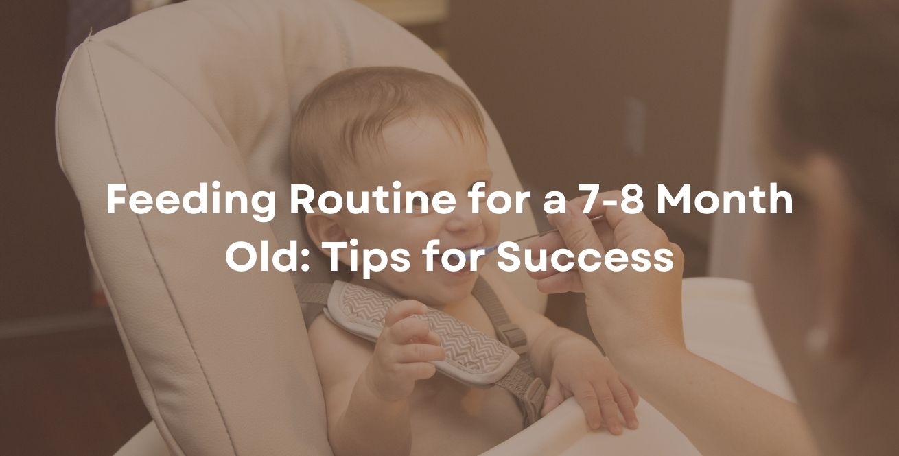 Feeding Routine for a 7-8 Month Old: Tips for Success