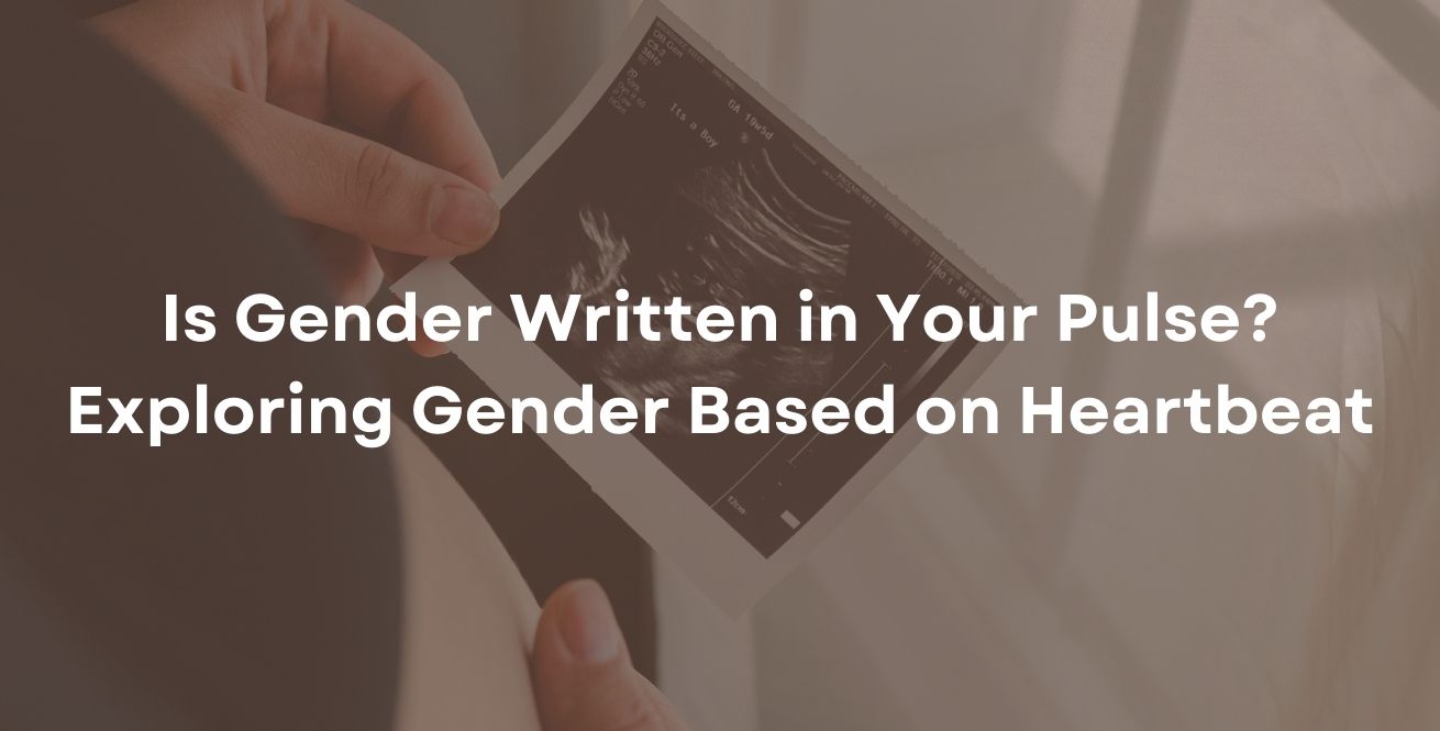 Is Gender Written in Your Pulse? Exploring Gender Based on Heartbeat