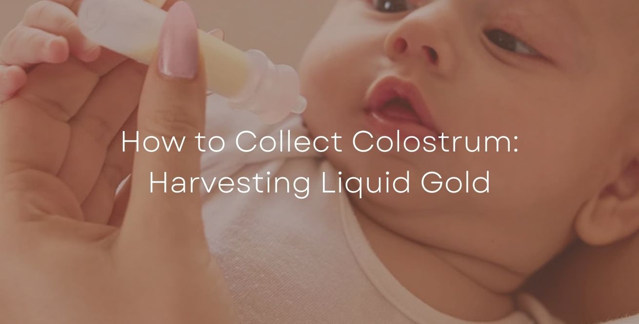 How to Collect Colostrum: Harvesting Liquid Gold