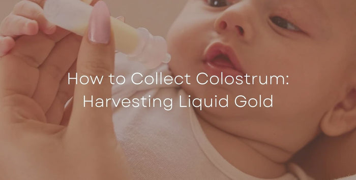 How to Collect Colostrum: Harvesting Liquid Gold