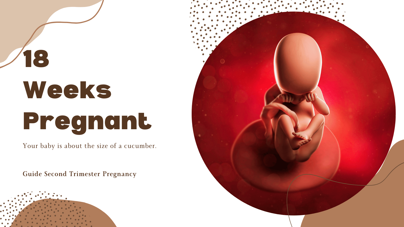 18 Weeks Pregnant