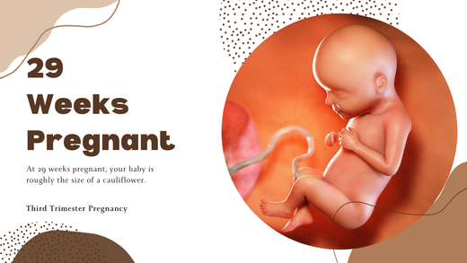 29 Weeks Pregnant