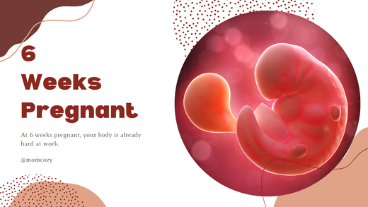 6 weeks pregnant