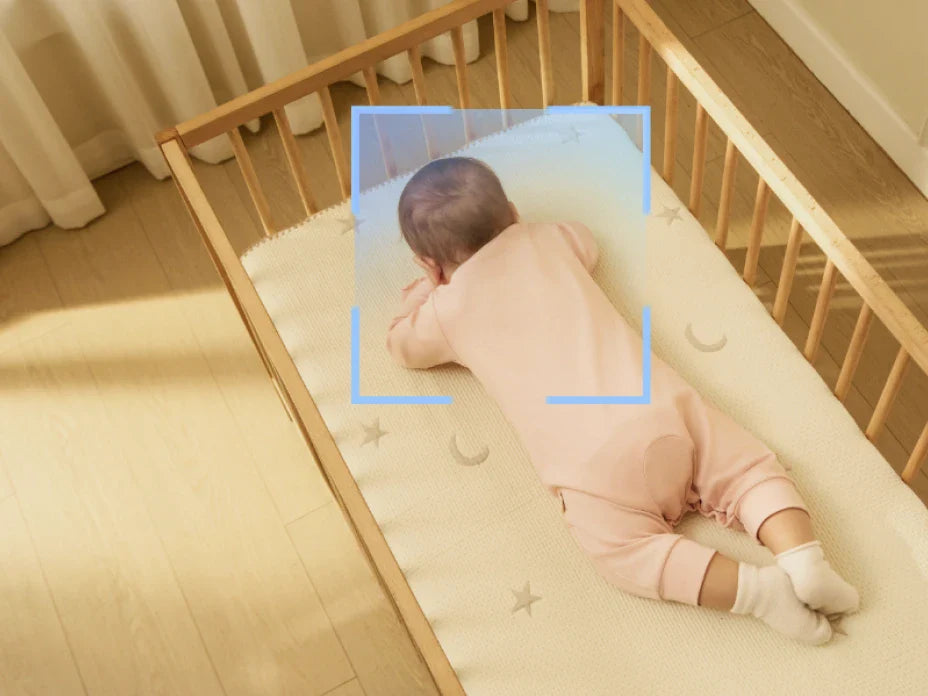 Translation missing: fr.accessibility.image_fallback